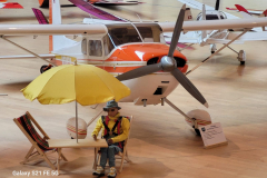 Cessna-180-Hubert-Frick