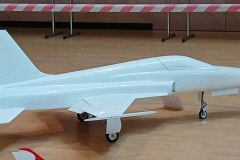F5-Jens-Braun